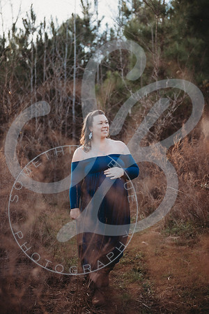 Lindsay - Maternity_112522_0059