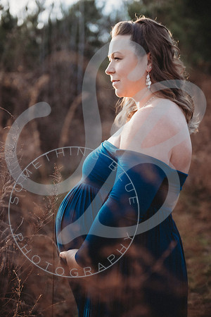 Lindsay - Maternity_112522_0071