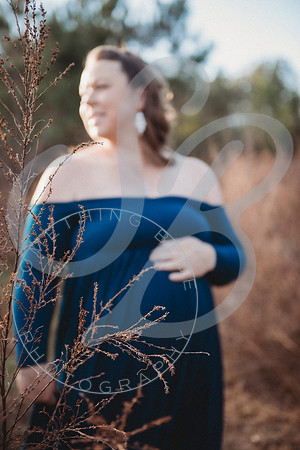 Lindsay - Maternity_112522_0070