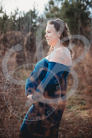 Lindsay - Maternity_112522_0078