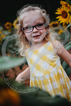 Sunflower Minis - Sherri_071422_0149