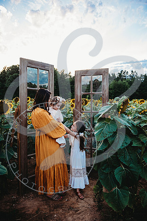 Sunflower Minis - Katelin_071222_0021