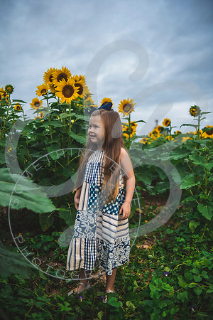 Sunflower Minis - Massie_082021_0123