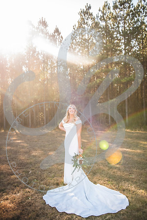 Julia & Evan - Slideshow.051