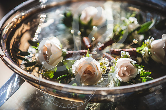 Julia & Evan - Slideshow.076