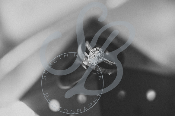 Julia & Evan - Slideshow.290