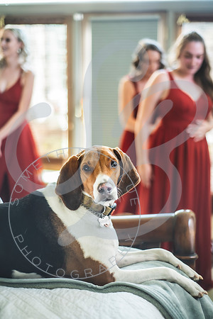 Julia & Evan - Slideshow.016