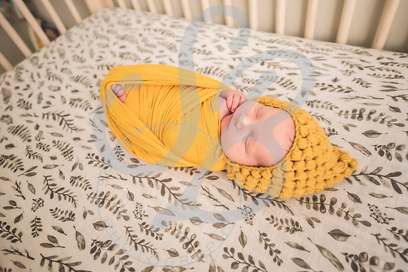 Maverick - Newborn_012122_0221