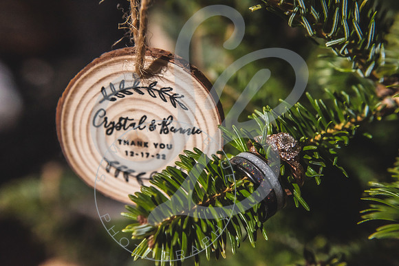 Crystal & Bennie - Slideshow.251