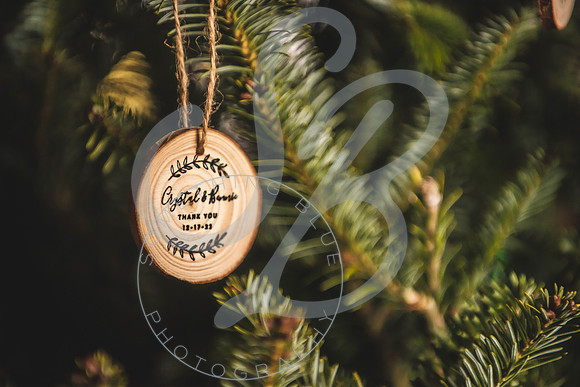 Crystal & Bennie - Slideshow.085