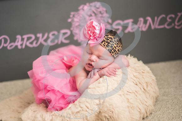 Parker - Newborn_030222_0401