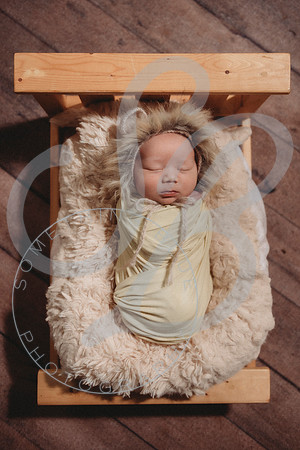 Thomas - Newborn_011423_0155