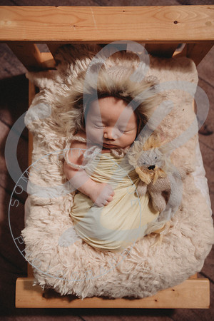 Thomas - Newborn_011423_0174