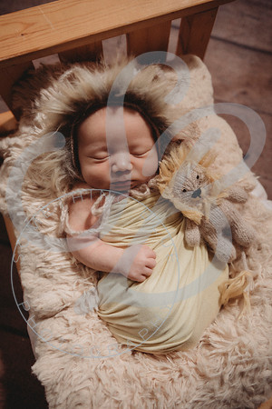 Thomas - Newborn_011423_0180