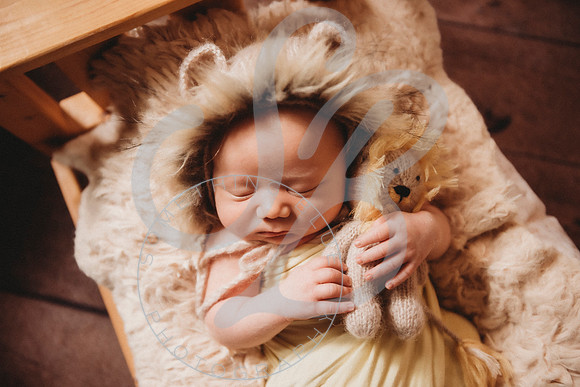 Thomas - Newborn_011423_0203