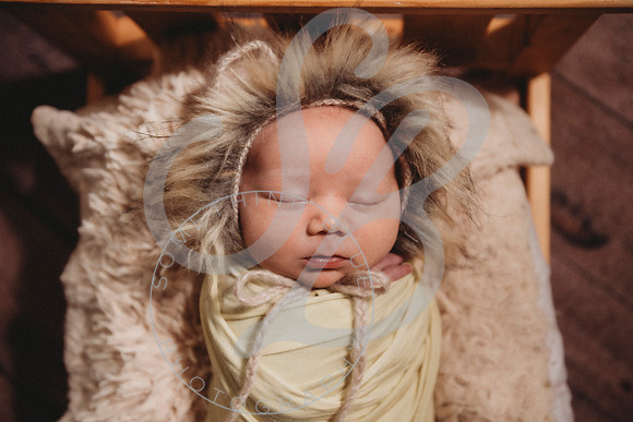 Thomas - Newborn_011423_0161