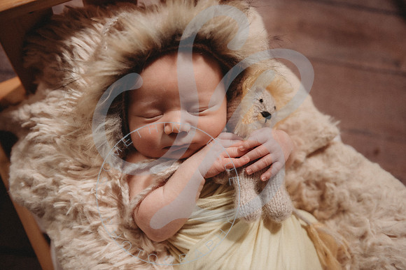 Thomas - Newborn_011423_0189