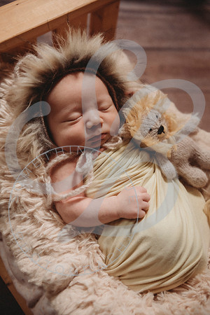 Thomas - Newborn_011423_0181