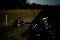 750_5353