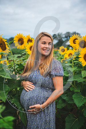 Sunflower Minis - Massie_082021_0144