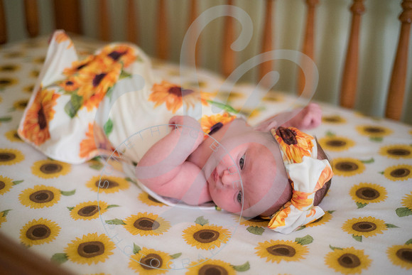Lyla - Newborn_071325_0110