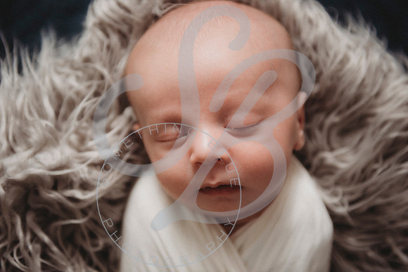 Declan - Newborn_012923_0228