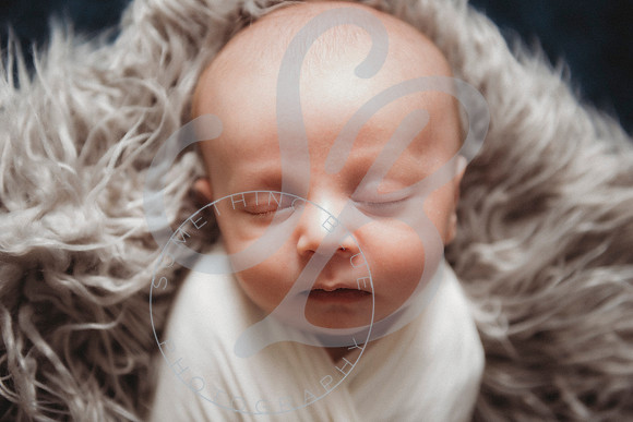 Declan - Newborn_012923_0224