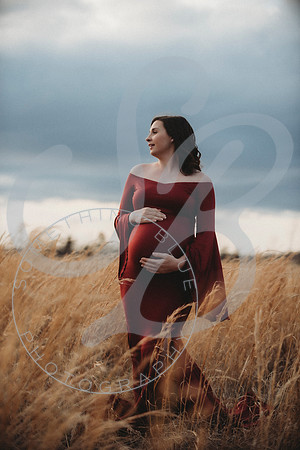 Kayla - Maternity_021923_0249