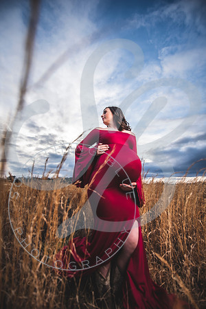 Kayla - Maternity_021923_0261