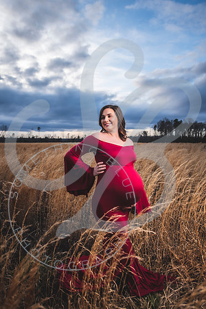 Kayla - Maternity_021923_0290