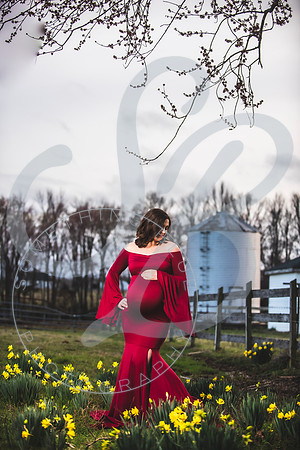 Kayla - Maternity_021923_0352