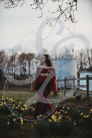 Kayla - Maternity_021923_0368