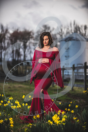 Kayla - Maternity_021923_0359