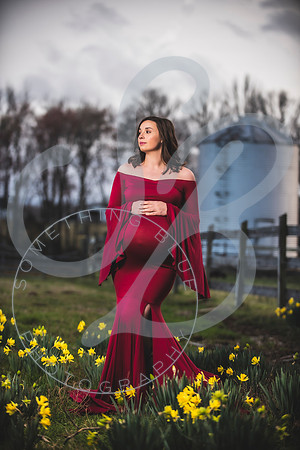 Kayla - Maternity_021923_0364