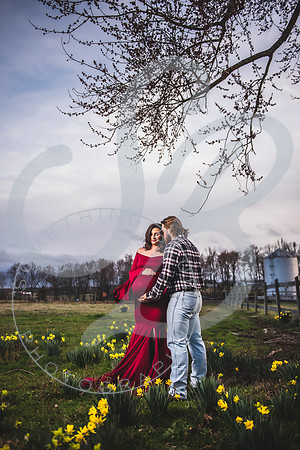 Kayla - Maternity_021923_0385