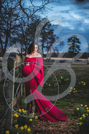 Kayla - Maternity_021923_0404