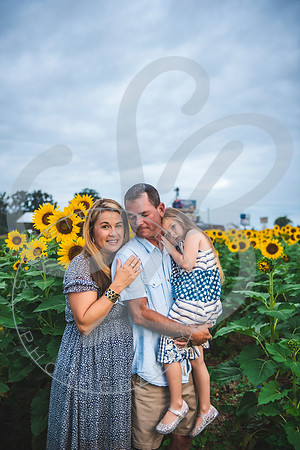 Sunflower Minis - Massie_082021_0027