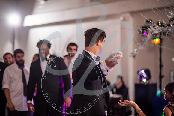 Lenox Wedding Slideshow.392