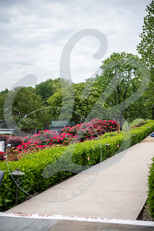 Amanda & Eddie - Wedding_042624_0011