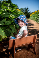750_0290