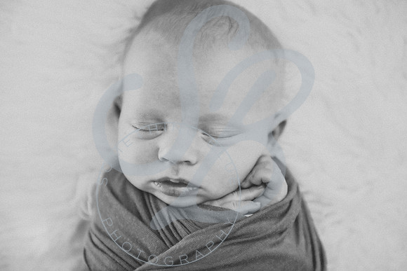 Maddox - Newborn_031523_0183