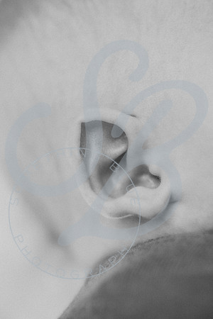 Maddox - Newborn_031523_0204