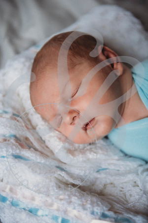Reid - Newborn_031723_0279