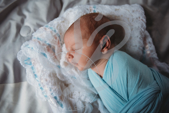 Reid - Newborn_031723_0280