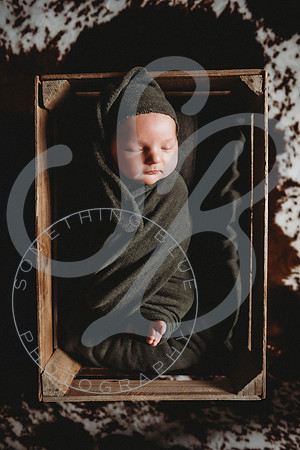 Reid - Newborn_031723_0379