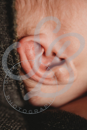 Reid - Newborn_031723_0420