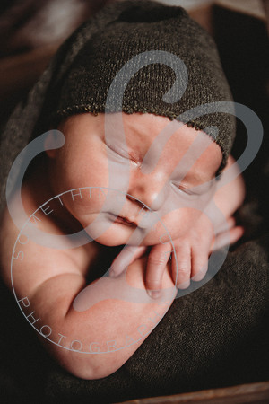 Reid - Newborn_031723_0439