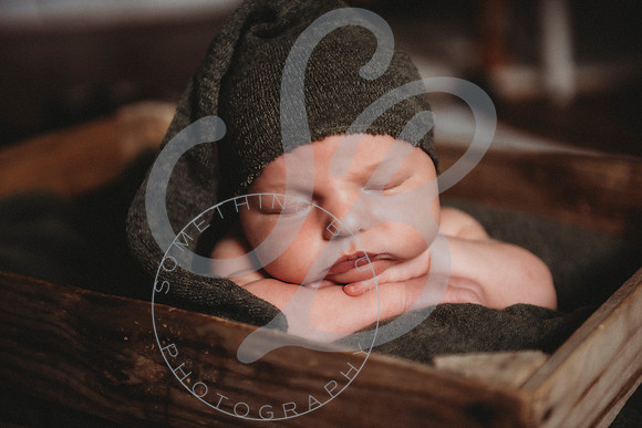 Reid - Newborn_031723_0446