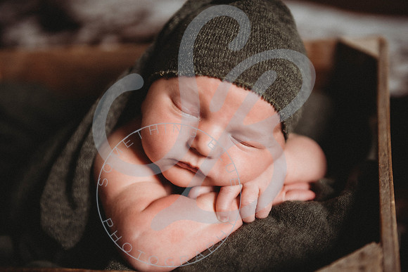 Reid - Newborn_031723_0436