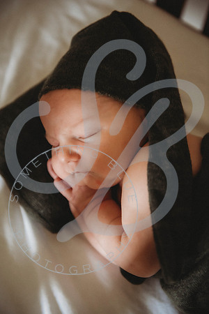 Reid - Newborn_031723_0476